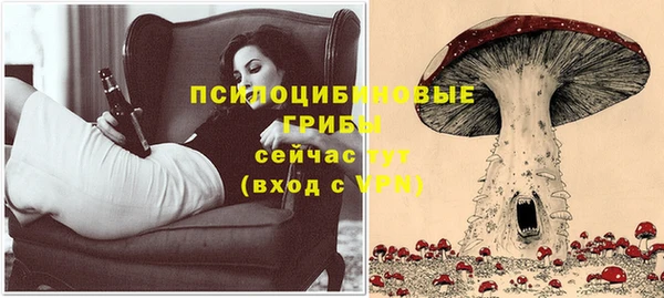 соль ск Балахна