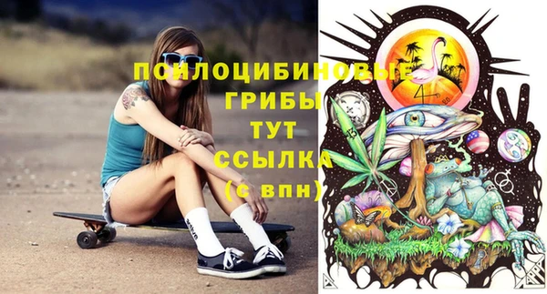 соль ск Балахна