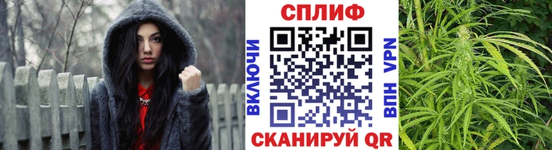 Бошки марихуана план закладка Новотитаровская